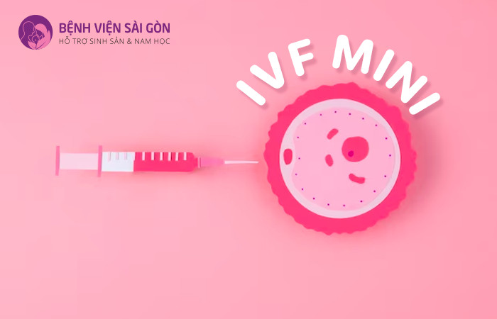 Phương pháp Mini IVF