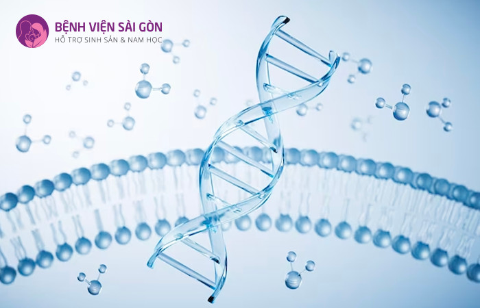 Mảnh DNA