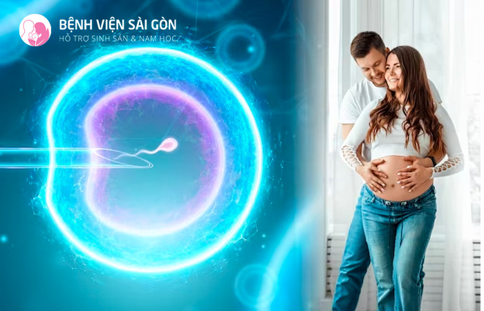 Mang thai bằng phương pháp IVF được khuyên nên thực hiện NIPT