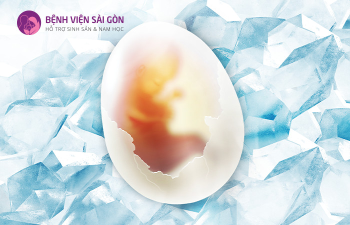Trứng được trữ đông ở nhiệt độ -196 độ C