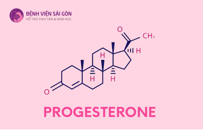Progesteron cũng là một loại hormone sinh dục nữ