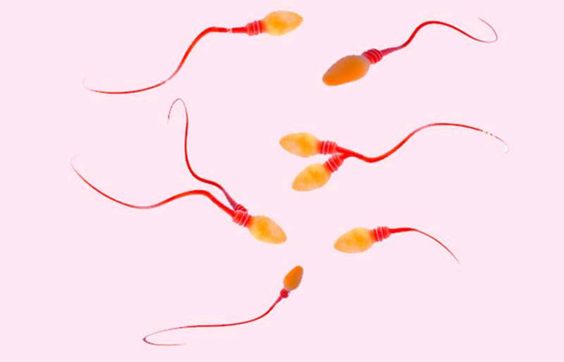 Xét nghiệm nam giới