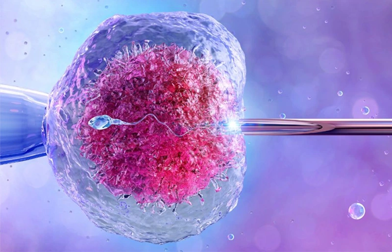 IVF là quá trình thụ tinh trong ống nghiệm
