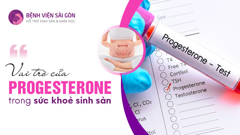 Vai trò của Progesterone trong sức khoẻ sinh sản