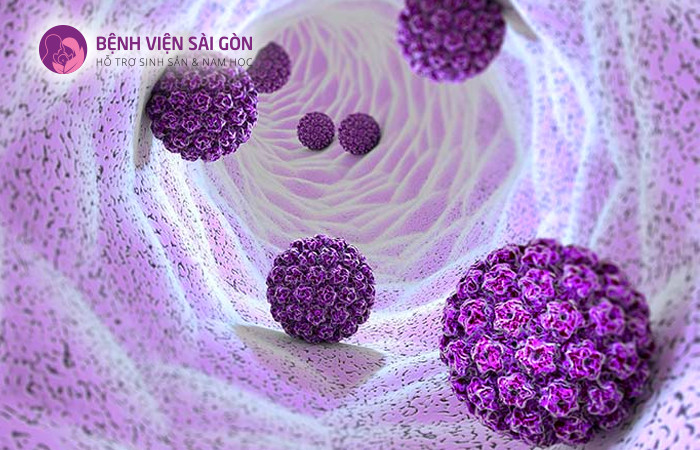 Virus HPV là nguyên nhân hàng đầu gây ra tình trạng ung thư cổ tử cung
