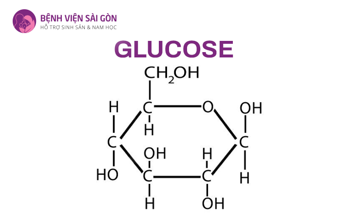 Glucose có vai trò tạo ra năng lượng cho cơ thể
