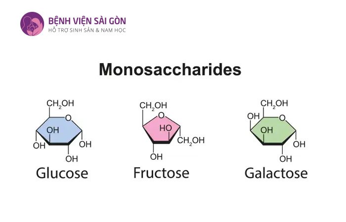Monosaccharides nằm trong hai loại chất xơ