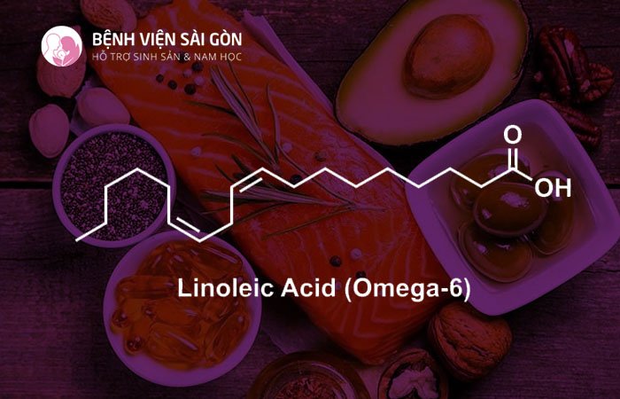 Acid Linoleic (LA) được xem là một omega-6 phổ biến nhất
