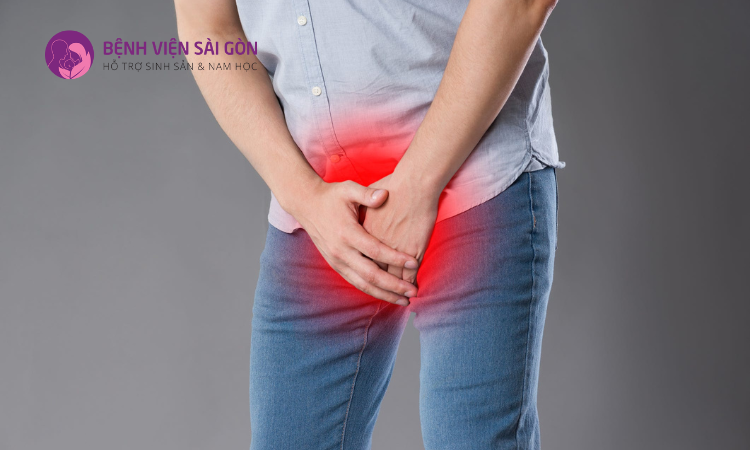Đau vùng bẹn, vùng thắt lưng là biểu hiện của bệnh lý viêm tuyến tiền liệt