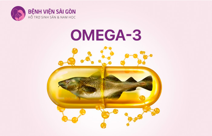 Omega-3 có nhiều trong các loại cá béo như cá hồi, cá thu