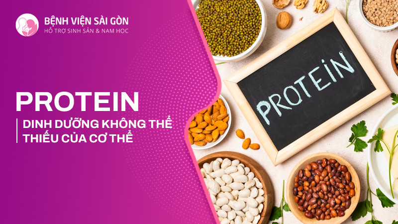 Protein dinh dưỡng không thể thiếu của cơ thể