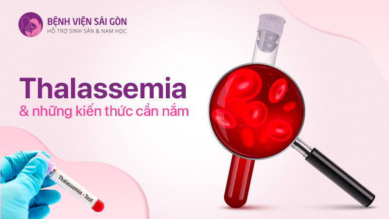 Thalassemia và những kiến thức cần nắm