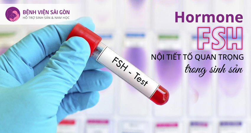 Hormone FSH có ảnh hưởng gì đối với sức khỏe