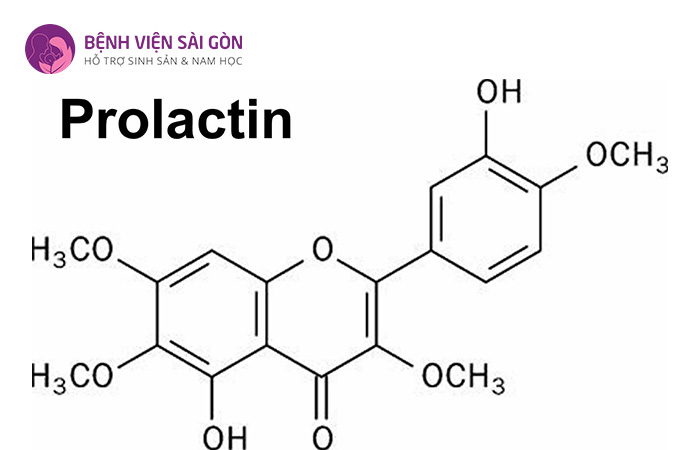 Hormone Prolactin có vai trò quan trọng trong việc sinh sản