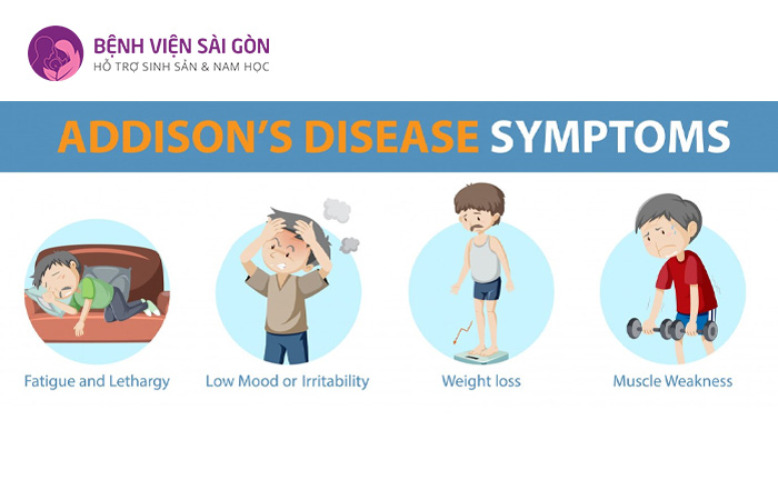 Người mắc bệnh Addison thường bị thiếu hụt aldosterone cũng như cortisol