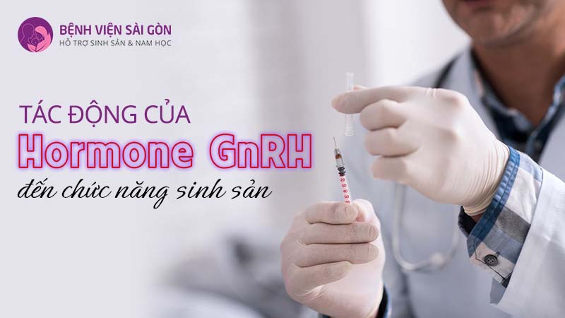 Tác động của hormone GnRH đến chức năng sinh sản