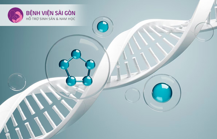 ADN hay DNA là vật liệu di truyền ở người và hầu hết các sinh vật khác
