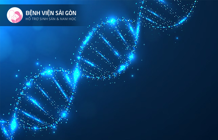Gen là đơn vị chứa vật chất di truyền trong cơ thể
