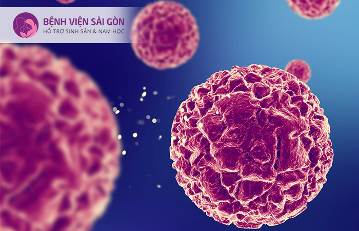 Ung thư là những tế bào phát triển bất thường và xâm lấn đến những vùng khác