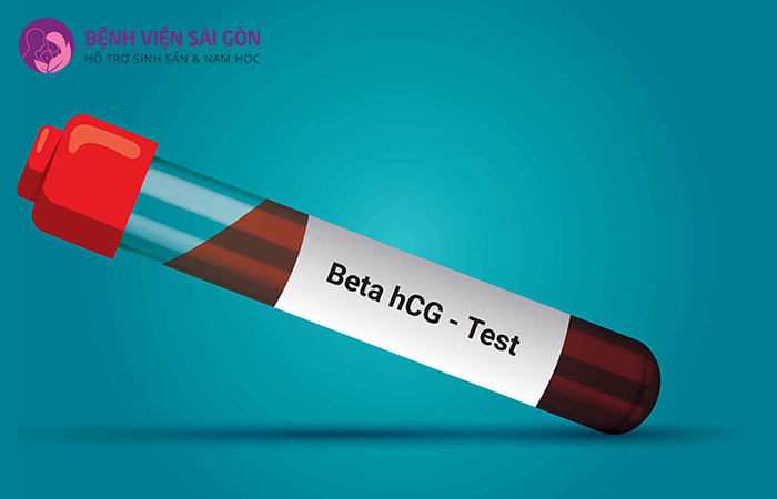 Xét nghiệm beta hCG để đo lượng gonadotropin sau 10 ngày thụ thai