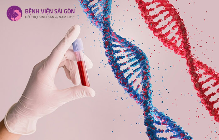Xét nghiệm gen đông máu này cũng rất cần thiết khi cha mẹ lo cho sức khỏe con cái sau này
