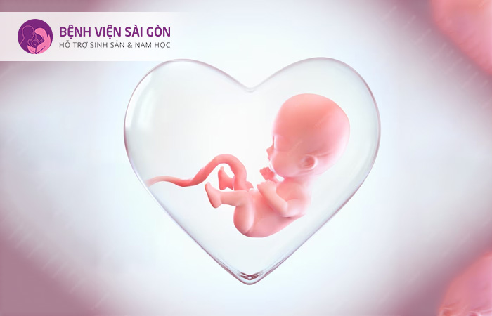 Thai chết lưu là tình trạng thai chết sau tuần thứ 20 của thai kỳ