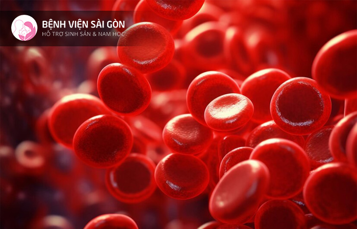 Thiếu máu tán huyết là một dạng rối loạn miễn dịch