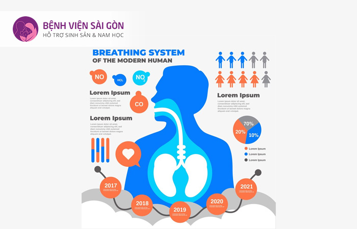 Hệ hô hấp lấy oxy từ môi trường bên ngoài bằng cách hít thở