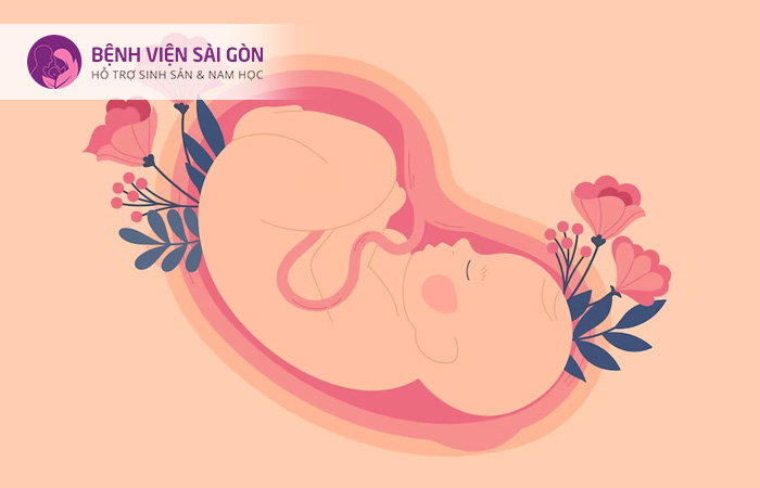 Mẹ bầu được khuyến cáo nên chấm dứt thai kỳ sớm nếu mắc phải hội chứng HELLP
