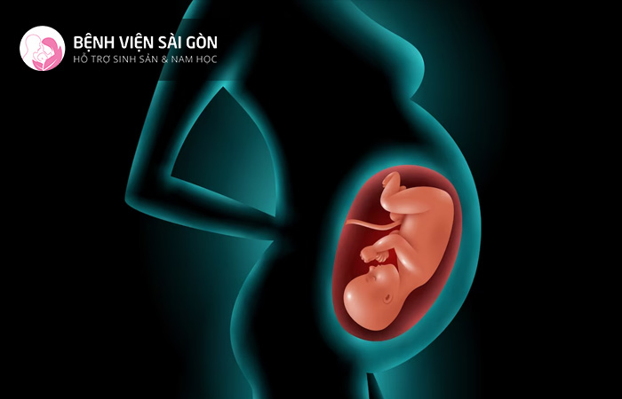 Béo phì khi mang thai làm tăng nguy cơ mắc nhiễm trùng ối