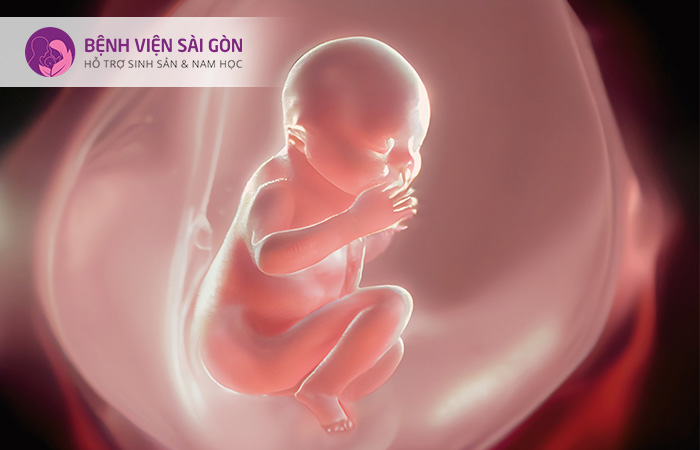 Theo dõi cử động của thai hằng ngày để có thể biết thai phát triển bình thường
