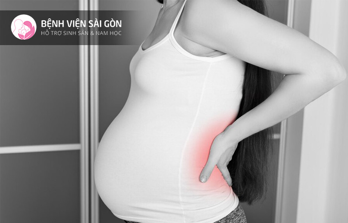 Khi mang thai cần một lượng lớn canxi cho thai nhi nên dễ bị loãng xương thai kỳ