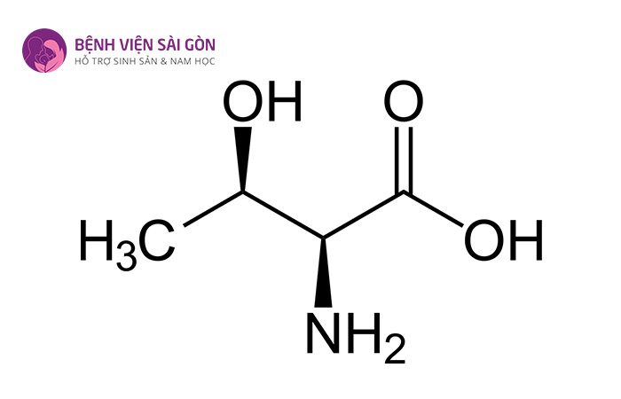 Threonine là axit amin cần thiết cho làn da và răng