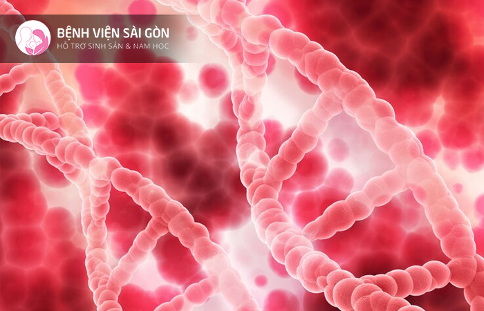 Quá trình lão hóa làm tổn thương cấu trúc ADN