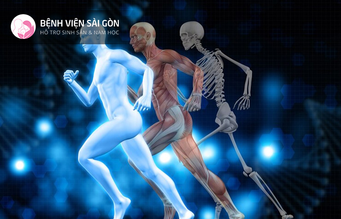 Hệ xương của con người thực hiện nhiều nhiệm vụ và chức năng khác nhau