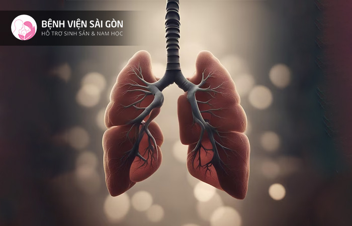 Hệ cơ quan của hệ hô hấp có nhiệm vụ cung cấp oxy cho cơ thể