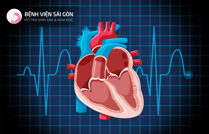 Dị tật tim bẩm sinh ảnh hưởng rất nhiều đến sức khỏe và hoạt động của thai nhi