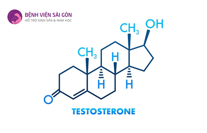 Nồng độ Testosterone thay đổi là nguyên nhân gây ra rối loạn chức năng tình dục ở nam giới