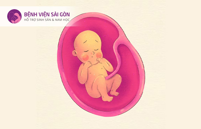 Suy thai là tình trạng thiếu oxy khi mang thai hoặc khi chuyển dạ
