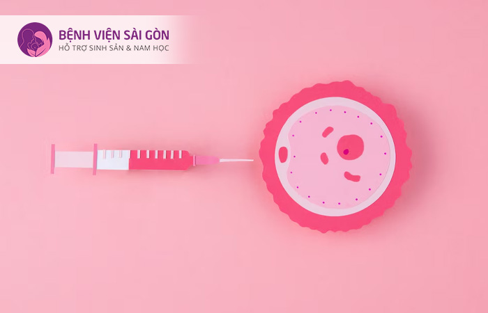 IVF mini sau chuyển phôi 14 ngày có thể thử thai giống như IVF thường quy