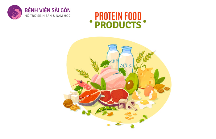 Protein - đứng đầu trong danh sách những thực phẩm cho người làm IVF mini