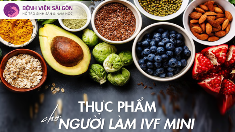 Thực phẩm cho người làm IVF mini