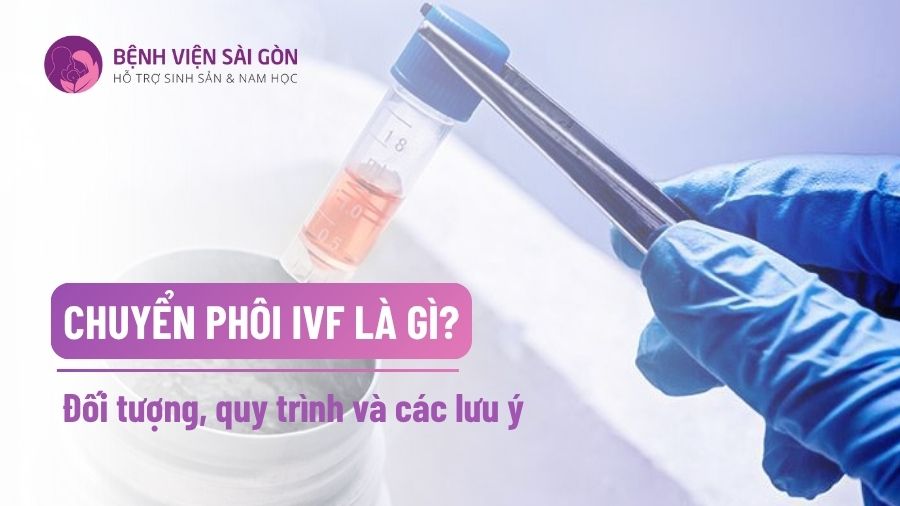 Chuyển phôi IVF là gì