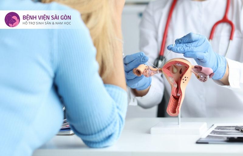 Thăm khám vô sinh ở nữ giới