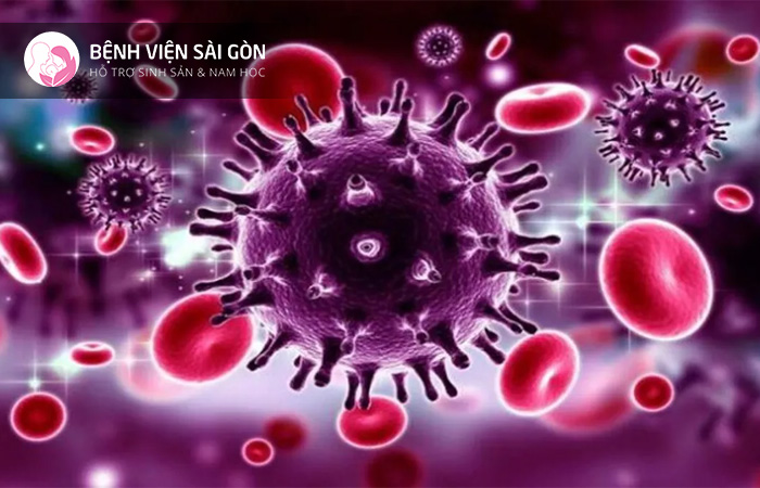 HIV/AIDS là Hội chứng suy giảm miễn dịch mắc phải