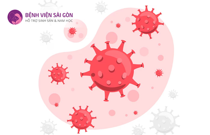 Virus gây bệnh HIV tác động trực tiếp đến tế bào bạch cầu lympho CD4+