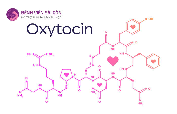 Oxytocin sẽ được chỉ định trong điều trị băng huyết sau sinh