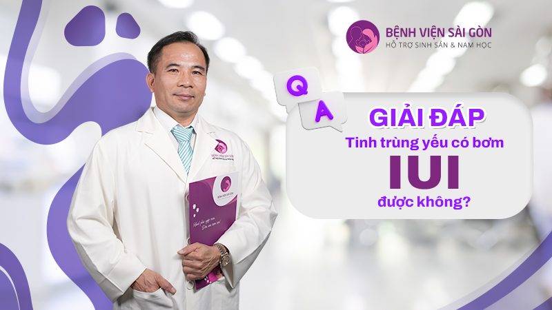 Giải đáp: Tinh trùng yếu có bơm IUI được không?