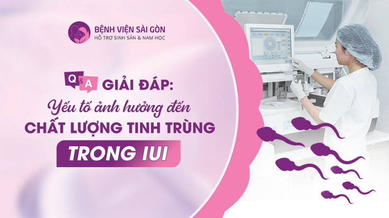 Giải đáp: Yếu tố ảnh hưởng đến chất lượng tinh trùng