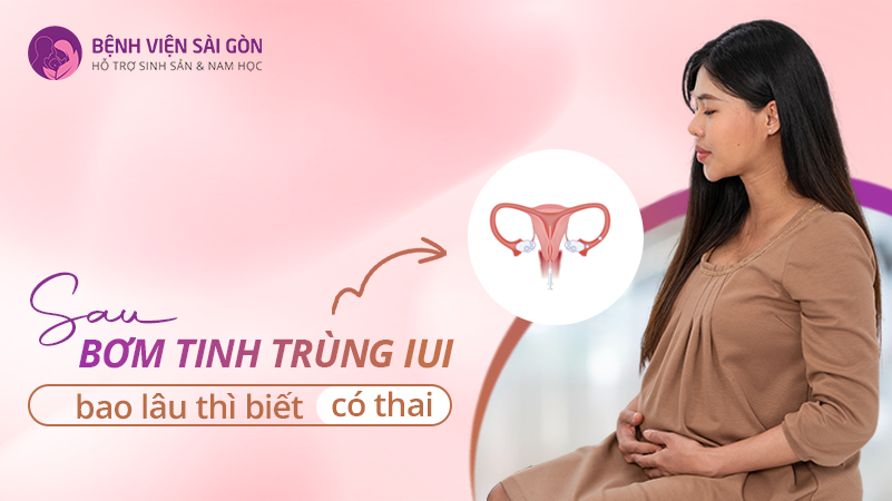 Sau bơm IUI bao lâu thì biết có thai?